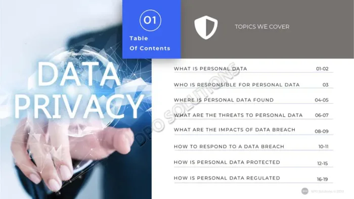 Data Privacy Business Reference Guide - Image 3