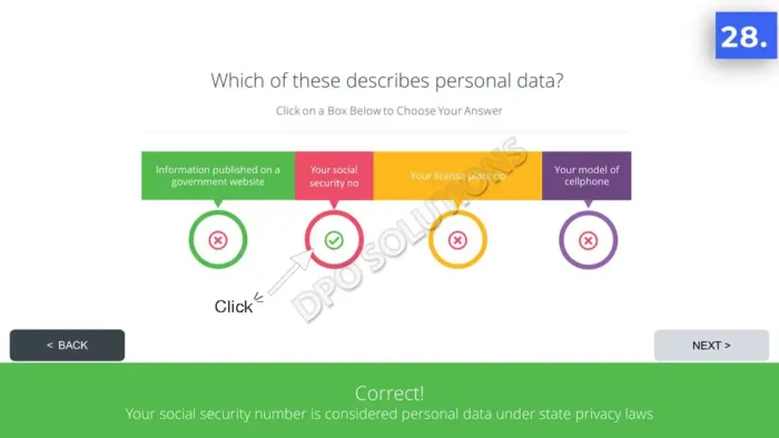 Data Privacy Business Reference Guide - Image 23